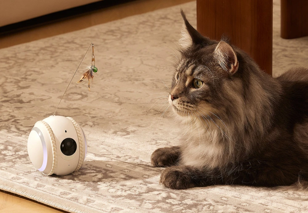 movable pet camera